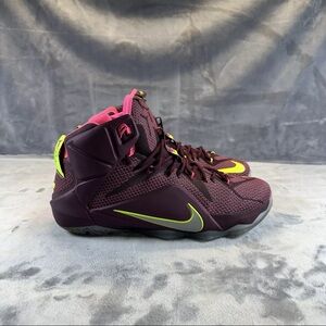 Nike Lebron 12 Double Helix